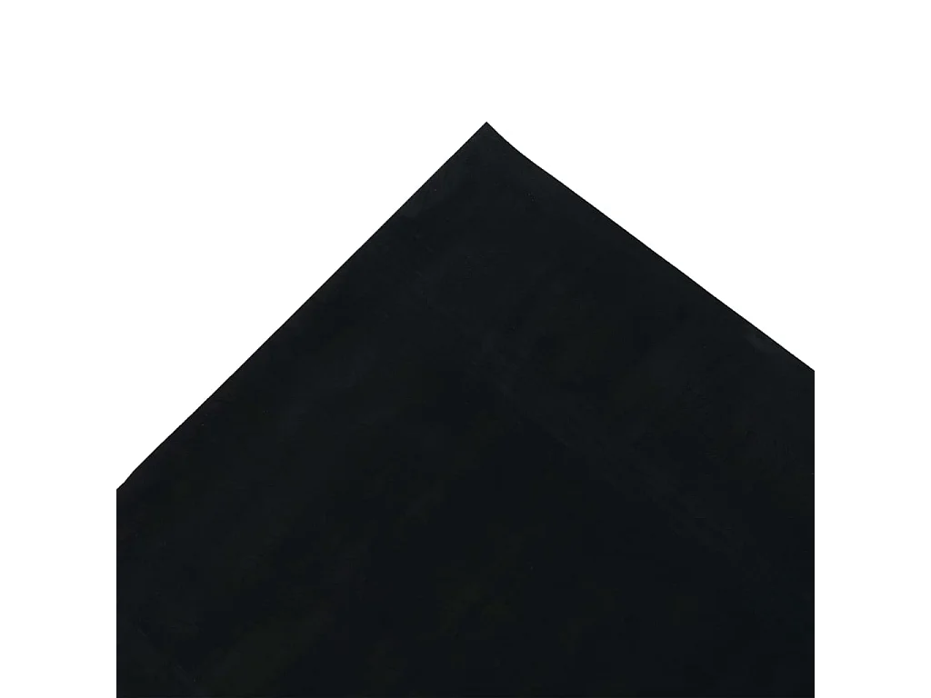 Tapis en caoutchouc antidérapant 1,2x2 m 4 mm Lisse