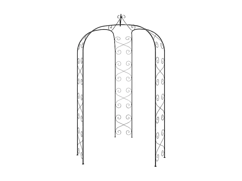 Arche de jardin Noir Ø180x255 Acier