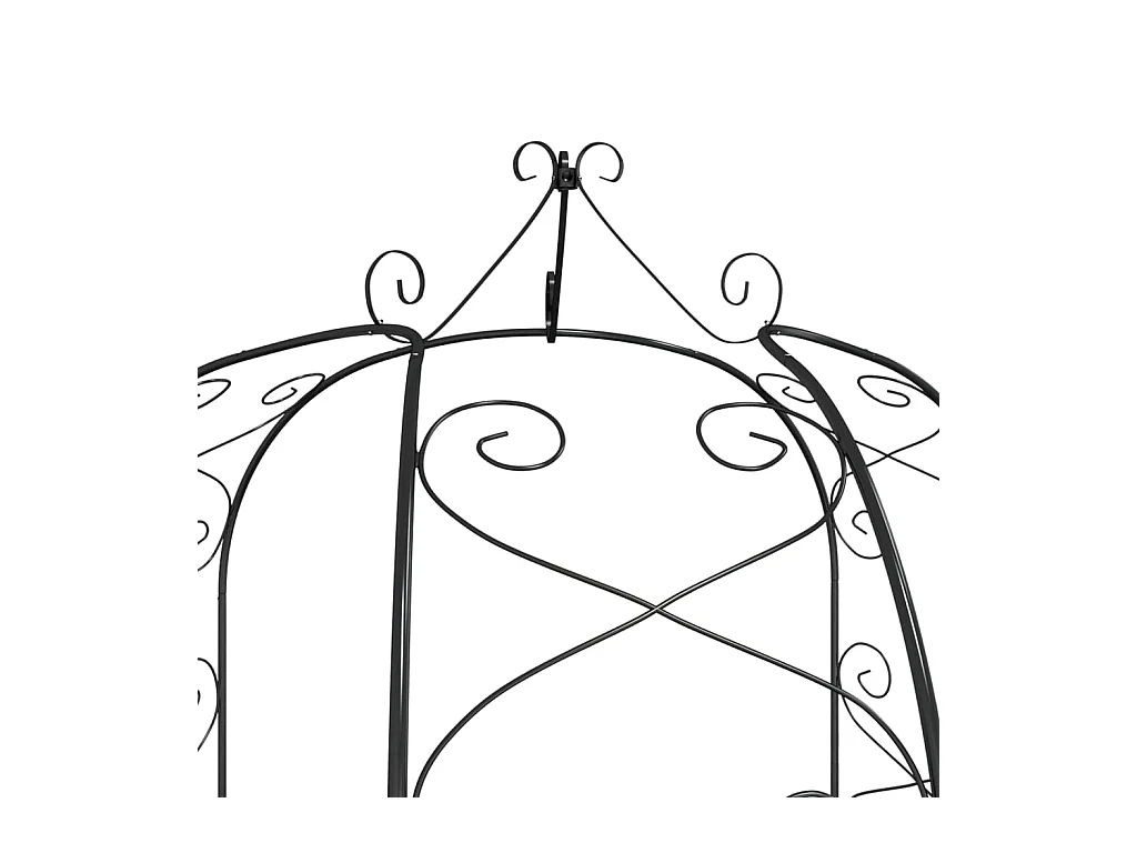Arche de jardin Noir Ø180x255 Acier