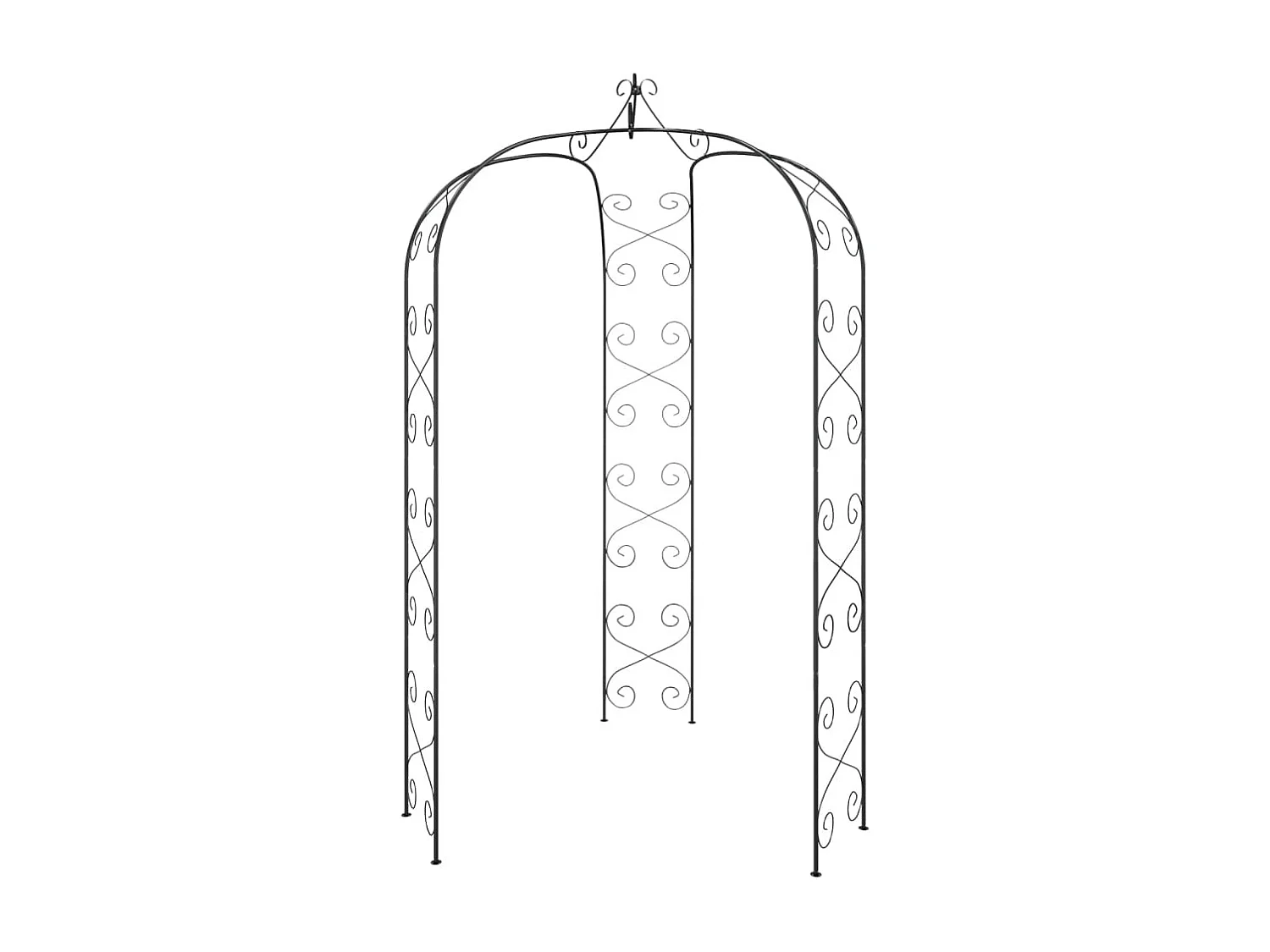 Arche de jardin Noir Ø180x255 Acier