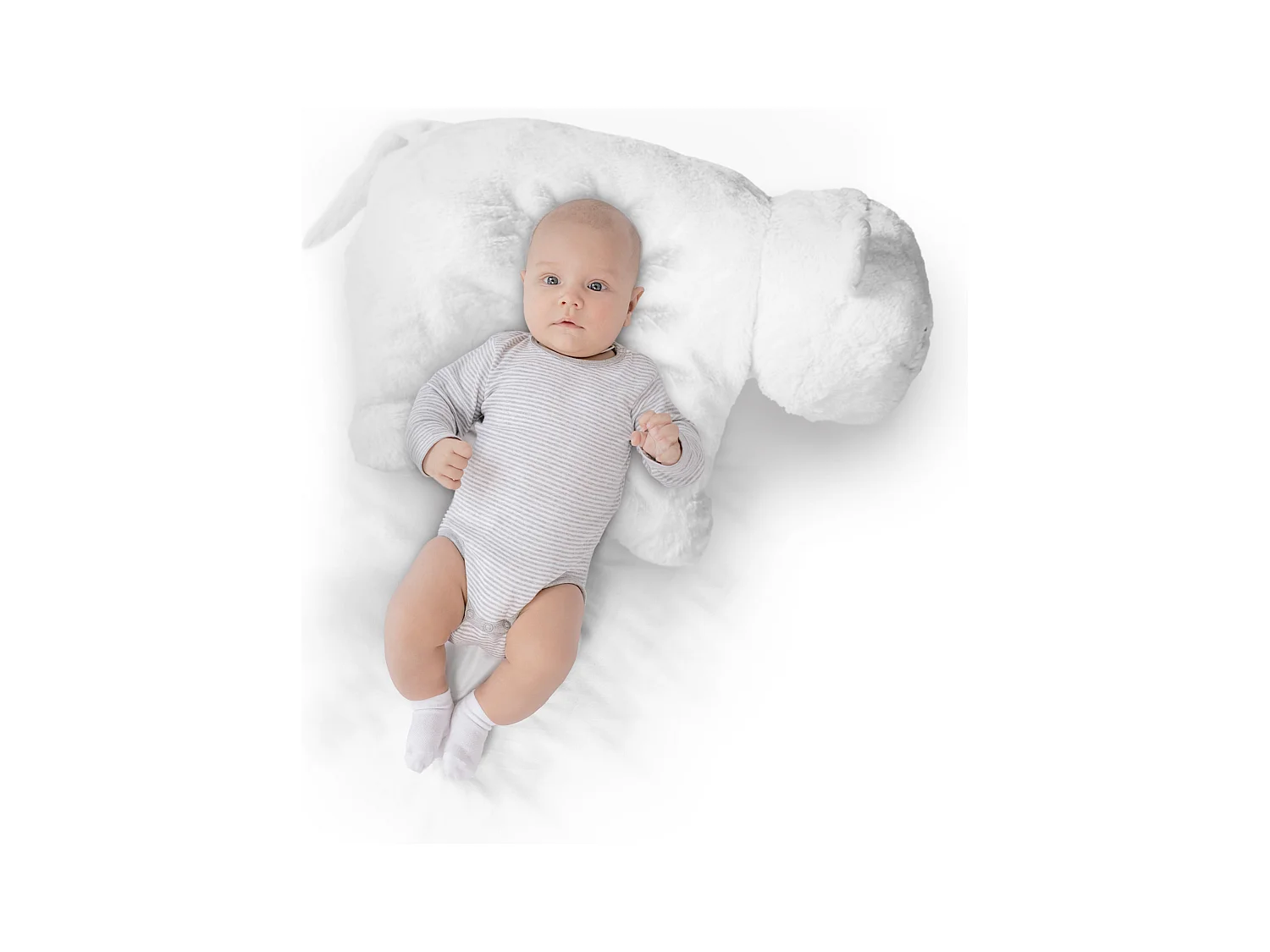 Peluche Coussin Tigre