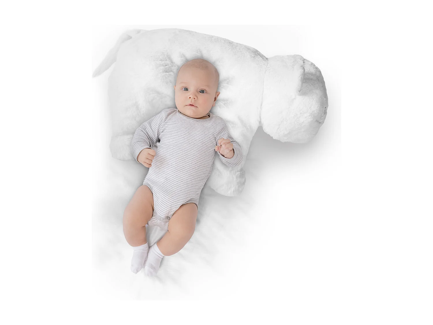 Peluche Coussin Tigre