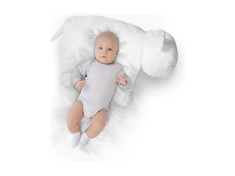 Peluche Coussin Tigre