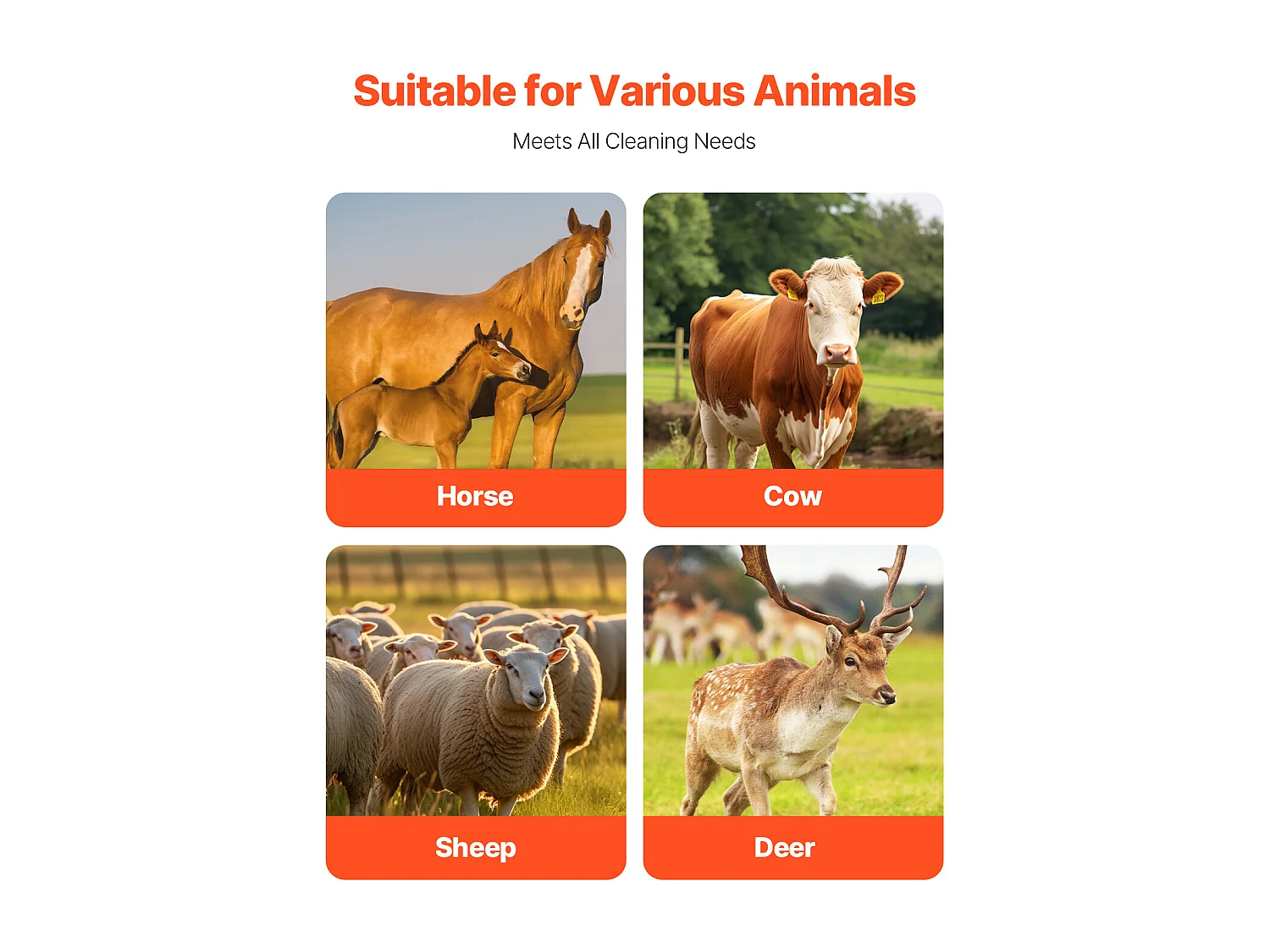 Kratzbürste SucceBuy für Vieh 43cm zum Lösen von Juckreiz bei Pferden, Löst Juckreiz auf, hält Reinheit, verbessert das Pflegen