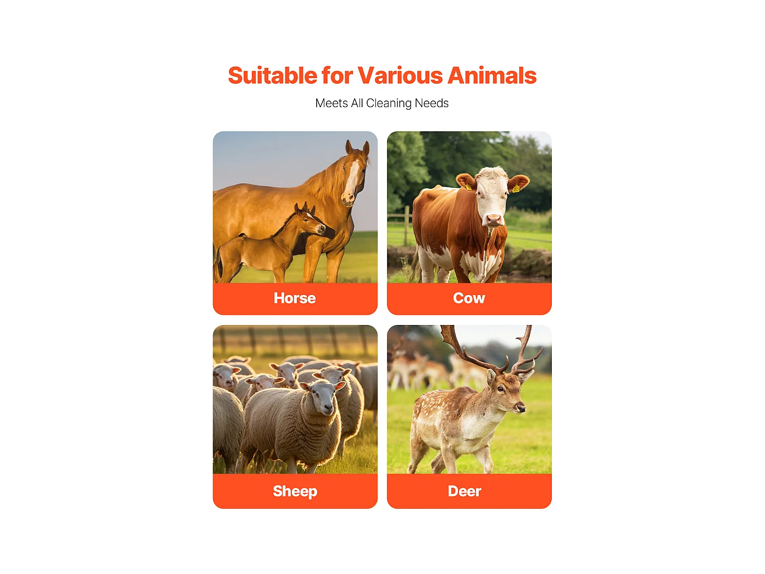 Kratzbürsten SucceBuy Satz zu 2 für Vieh 51cm Kratzer für Pferde und Kühe zur Linderung von Juckreiz