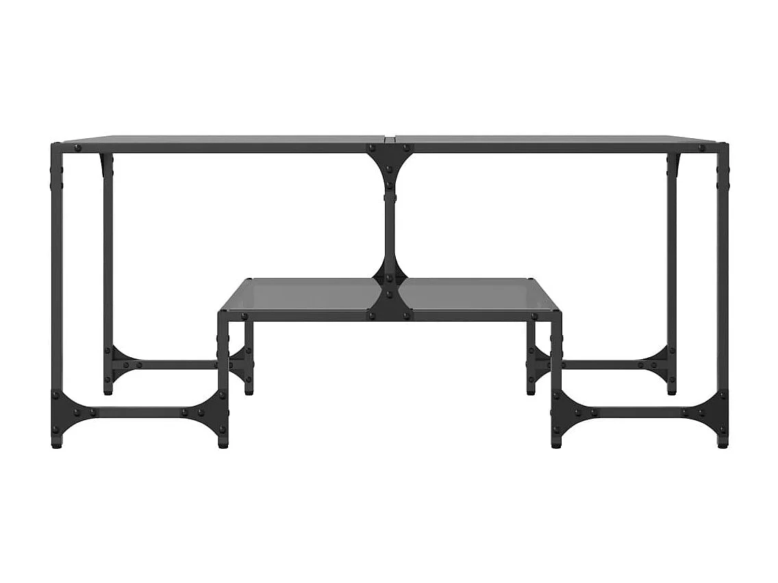 Table basse avec dessus en verre noir 98,5x50x45 cm acier FR215477