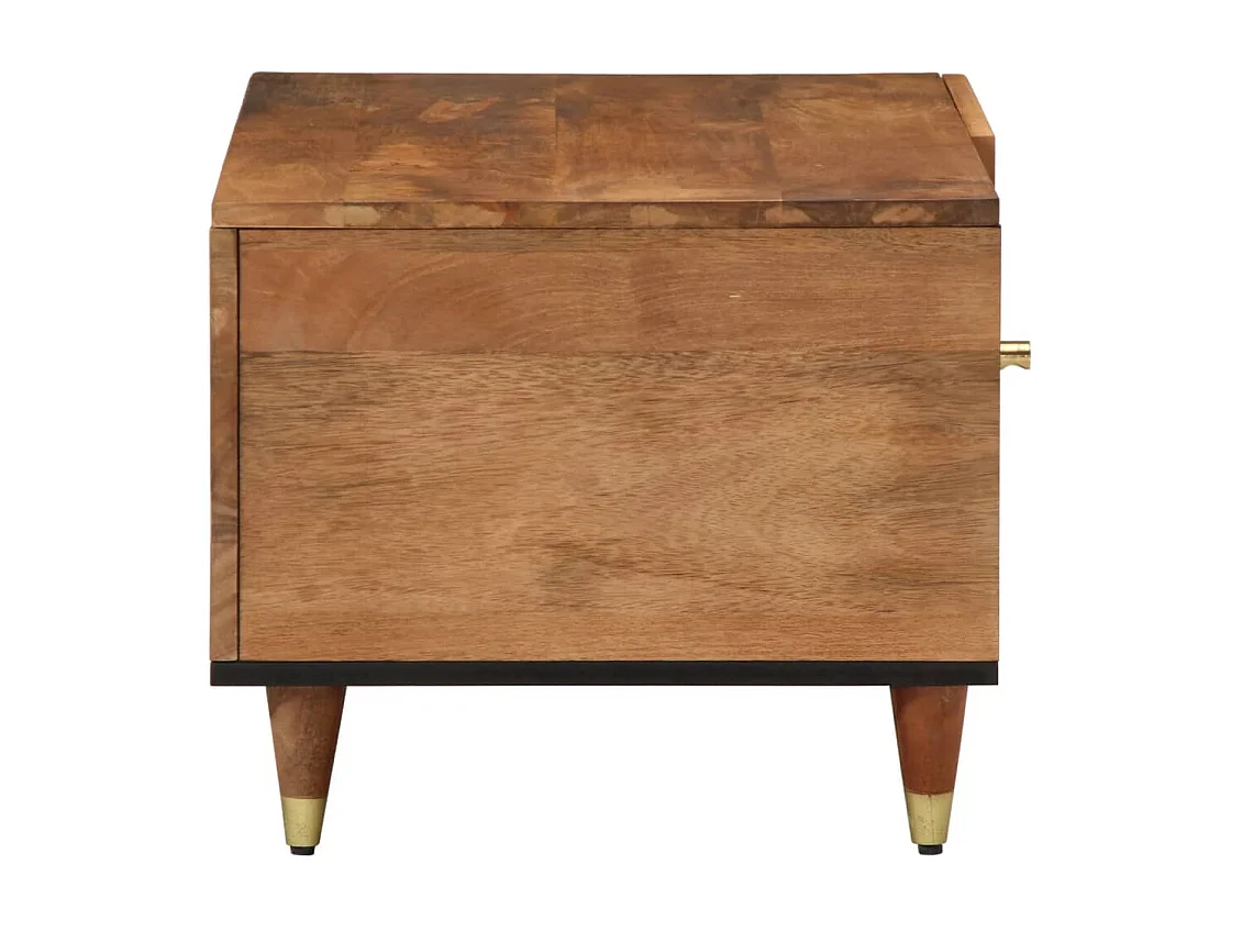 Table basse 80x50x40 cm bois de manguier massif FR680657