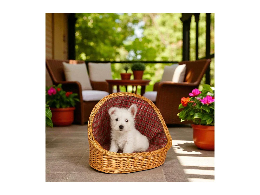 Cuccia lettiera in vimini con cuscino cesta lettino per animali 46x34x36 small