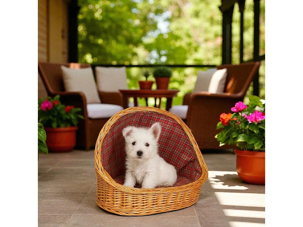 Panier pour animaux en osier avec coussin, 46x34x36 cm, petit