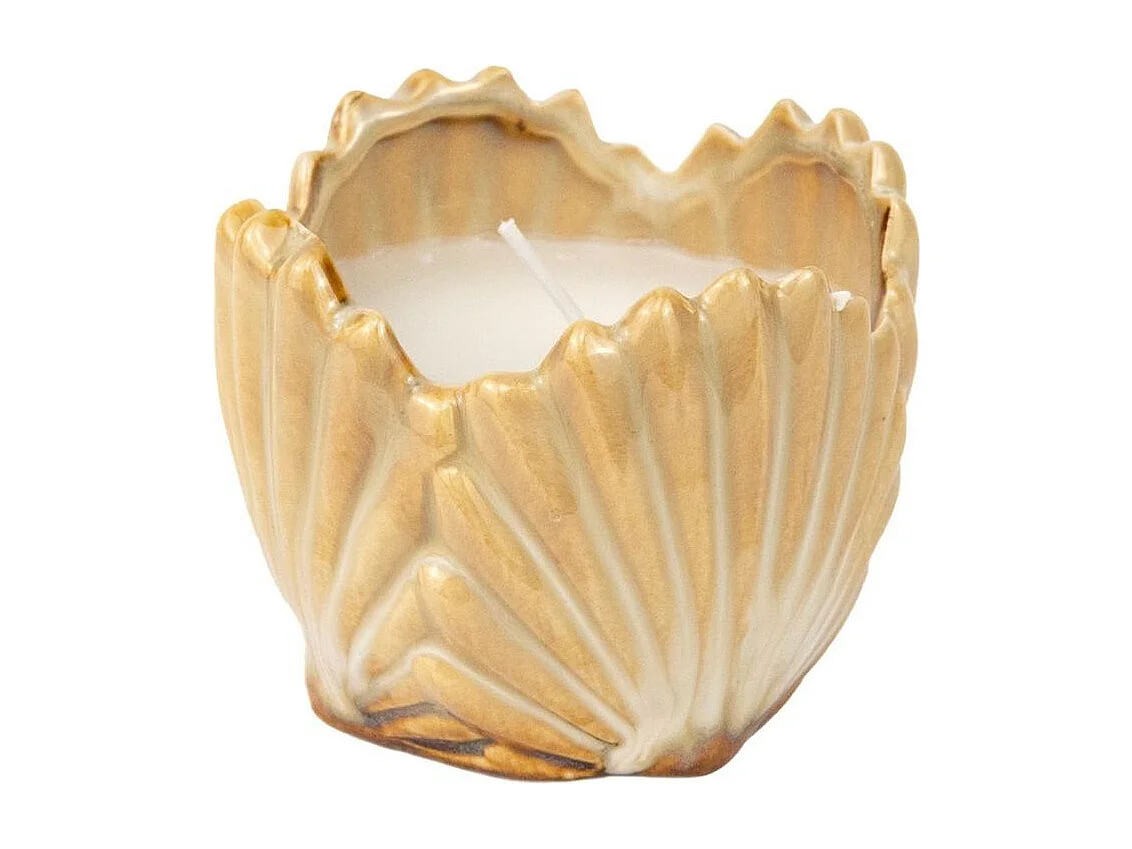 Vela decorativa diseño concha porcelana beige