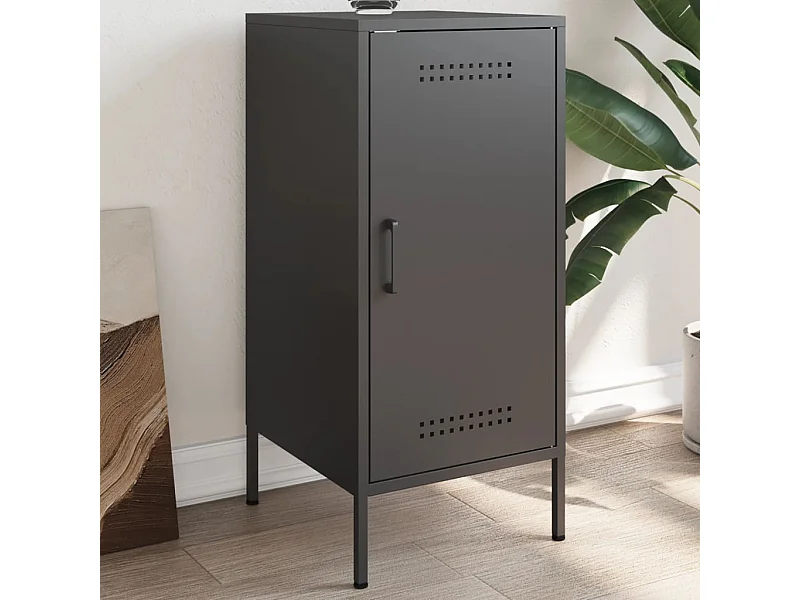 Credenza | Buffet | Armadio Nera 36x39x79 cm in Acciaio