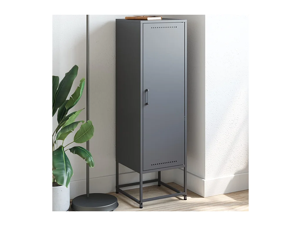 Buffet | Bahut | Meuble de rangement haut anthracite 36x39x123 cm acier