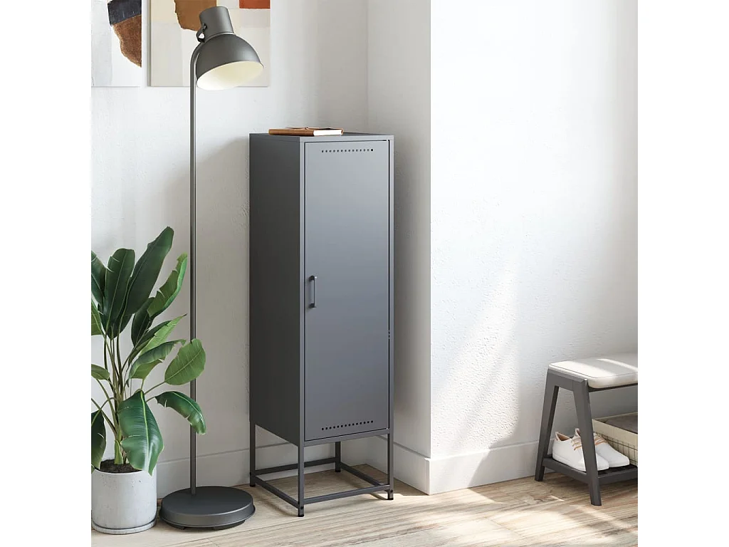 Credenza | Buffet | Armadio Antracite 36x39x123 cm in Acciaio