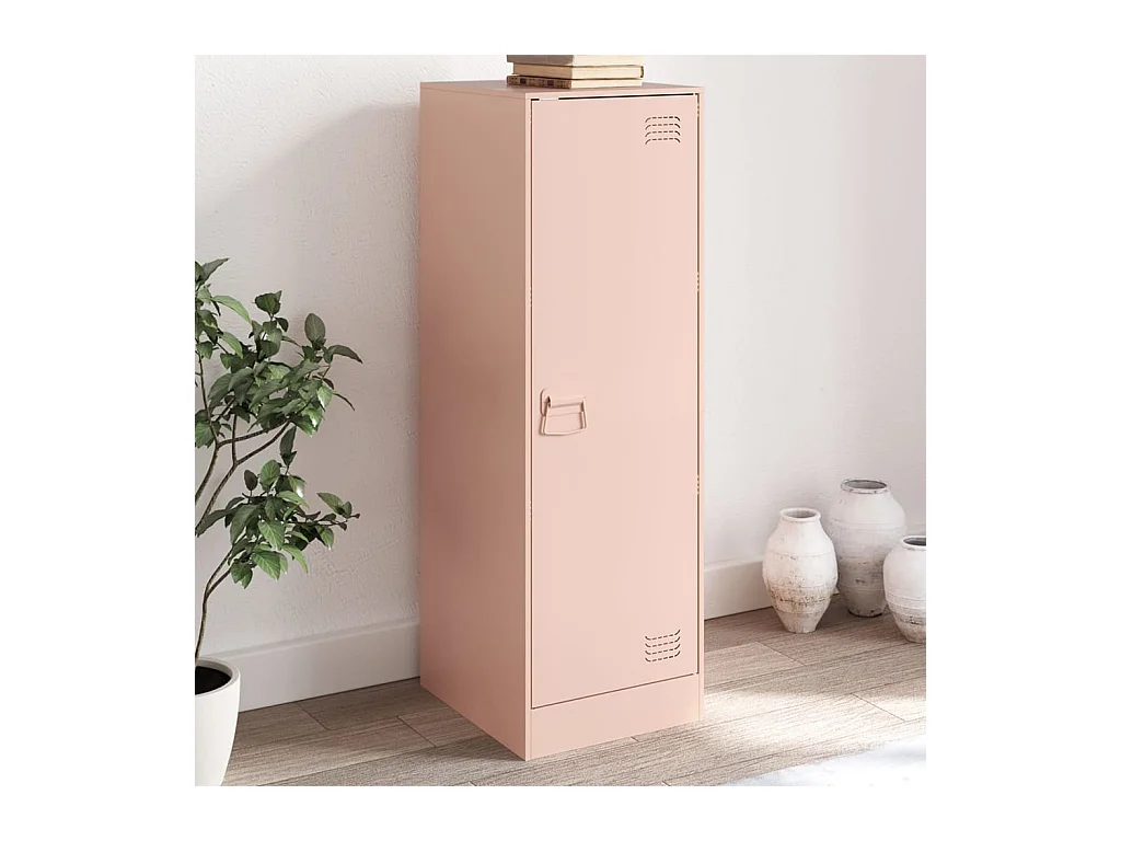 Credenza | Buffet | Armadio Rosa 34,5x39x107 cm in Acciaio