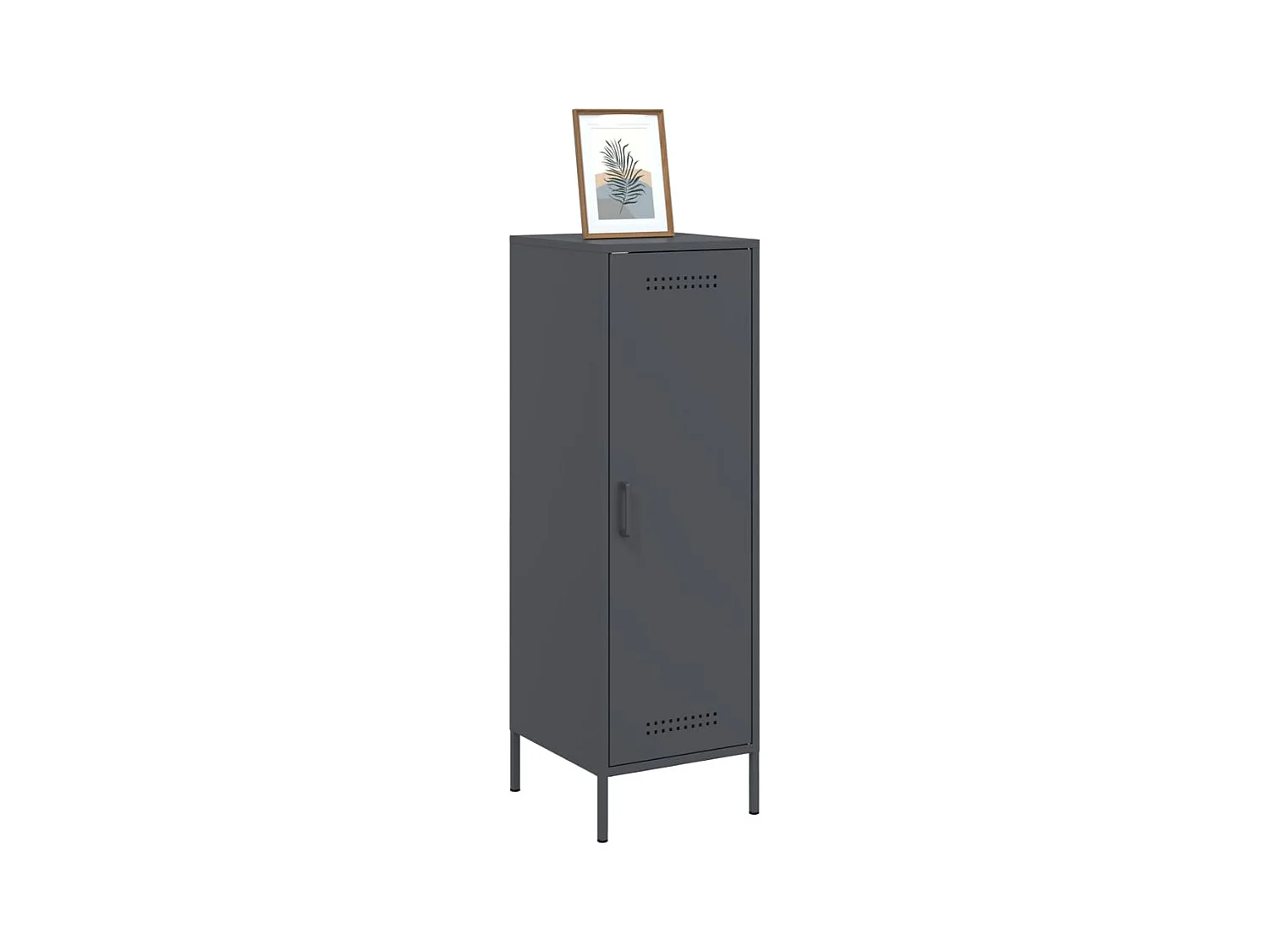 Credenza | Buffet | Armadio Antracite 36x39x113 cm in Acciaio