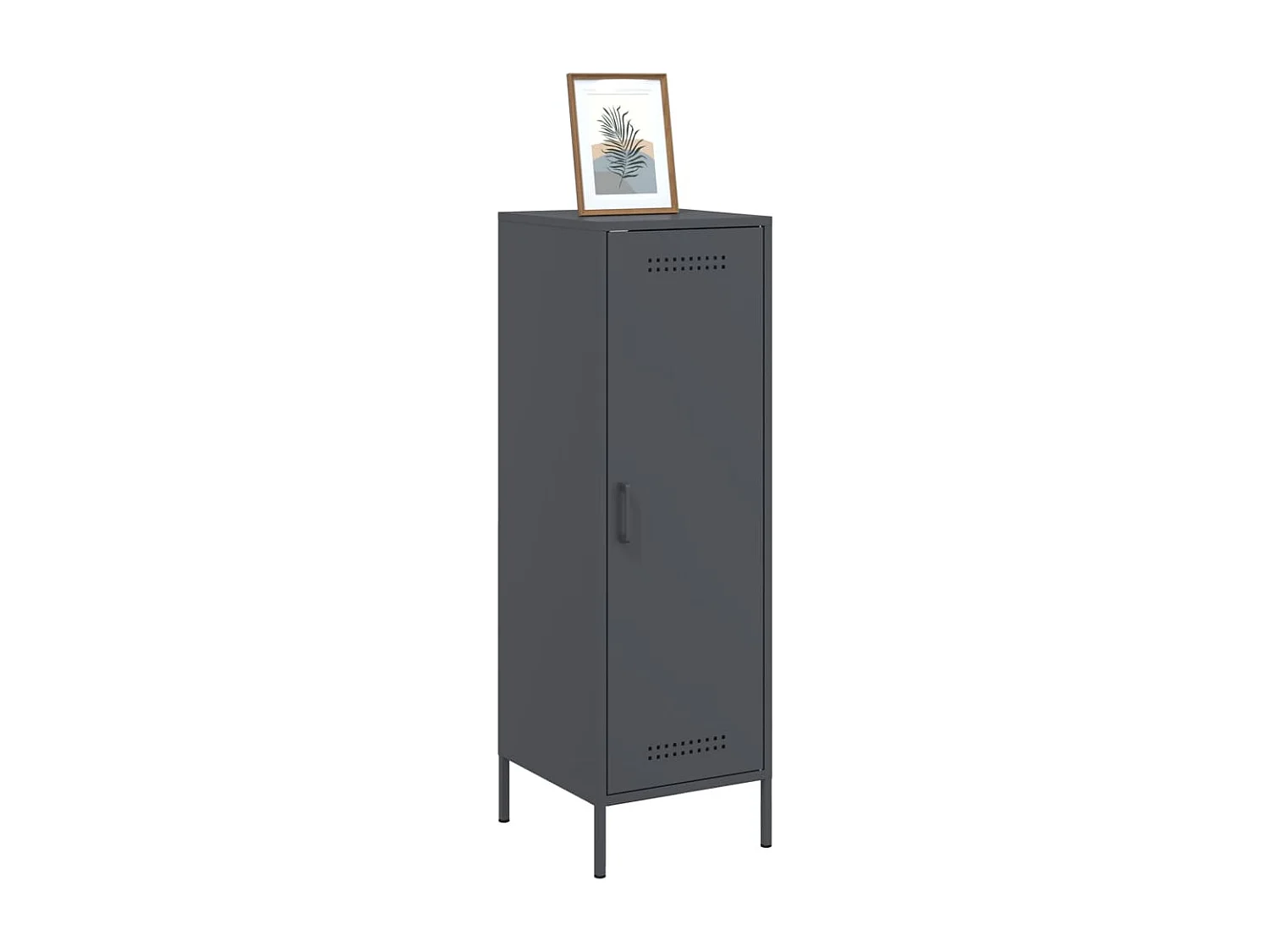 Credenza | Buffet | Armadio Antracite 36x39x113 cm in Acciaio