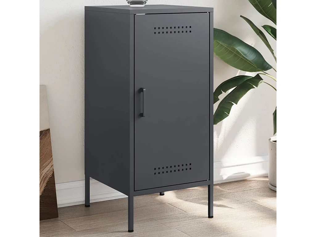 Credenza | Buffet | Armadio Antracite 36x39x79 cm in Acciaio