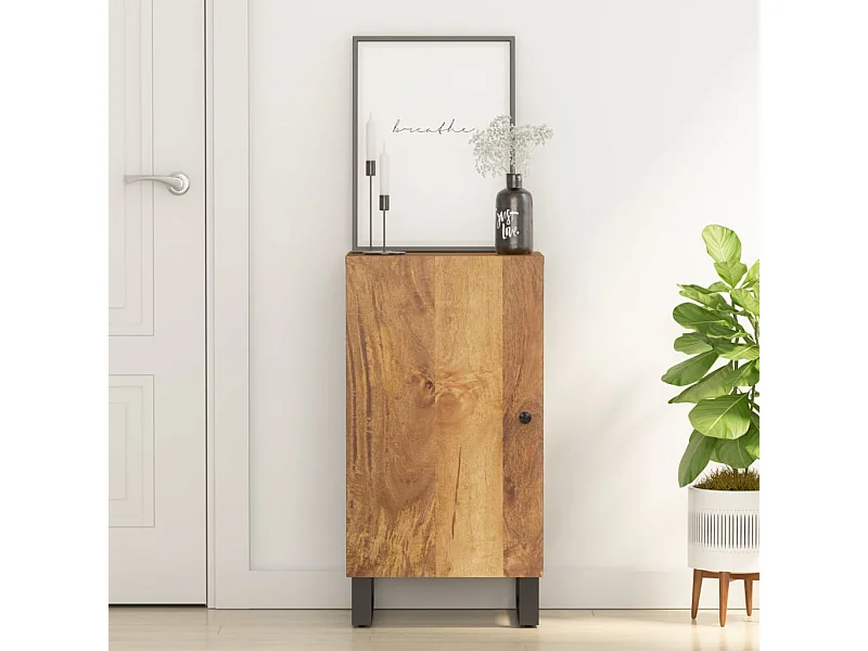 Credenza | Buffet | Armadio con Anta 40x31x75 cm in Legno Massello di Mango