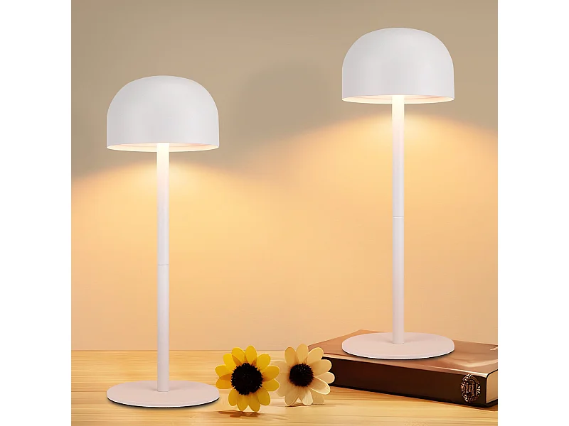 NETTLIFE Lot de 2 lampes de table LED sans fil : lampe de table tactile à intensité variable avec 3 températures de couleur et port USB