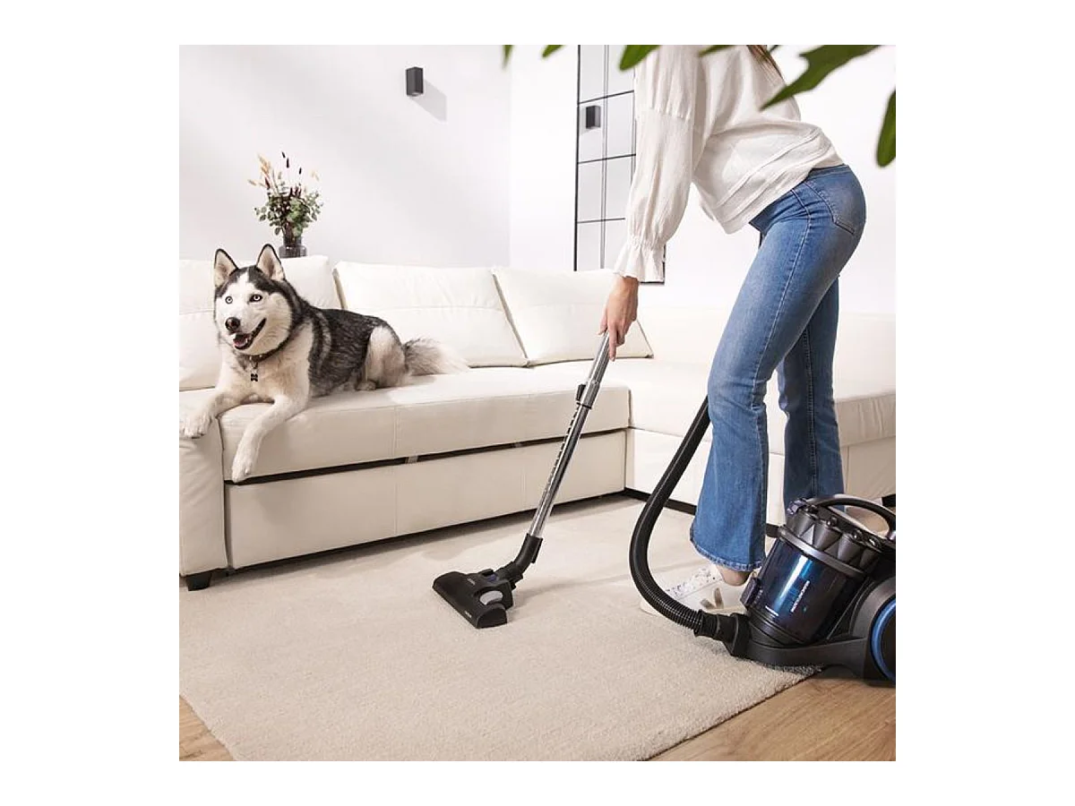 Aspirador de trineo Cecotec Conga Rockstar Multicyclonic XXL Animal Plus 800W 4L negro