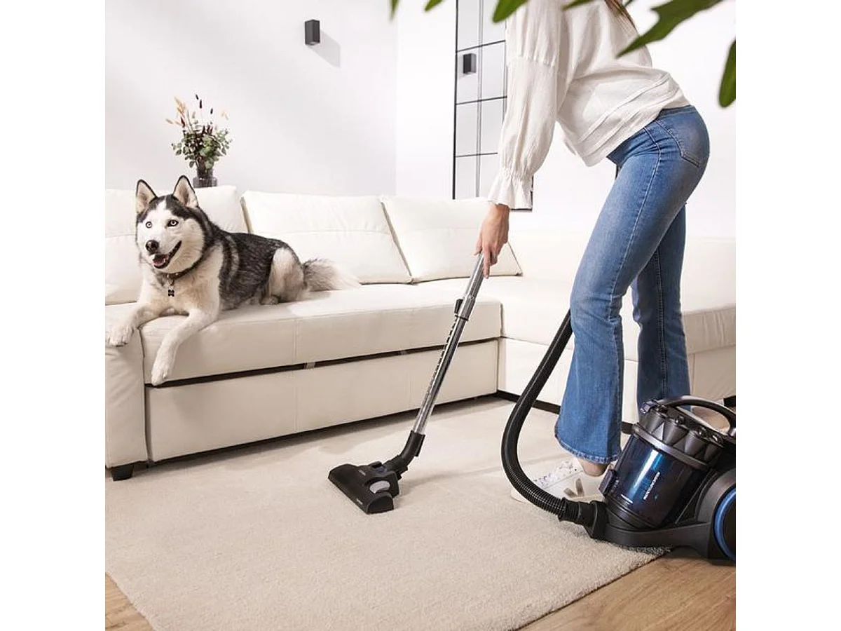 Aspirador de trineo Cecotec Conga Rockstar Multicyclonic XXL Animal Plus 800W 4L negro