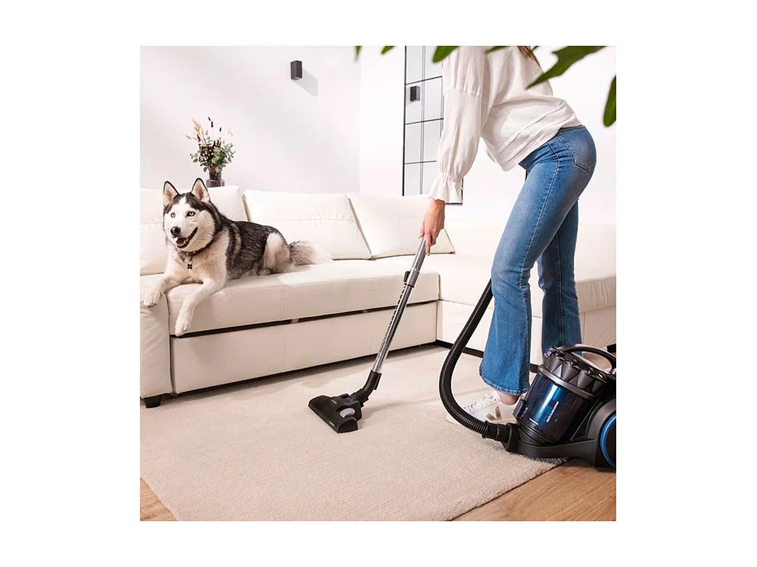 Cecotec 08592 aspirapolvere a traino 4 L Aspiratore a cilindro Secco 800 W Senza sacchetto