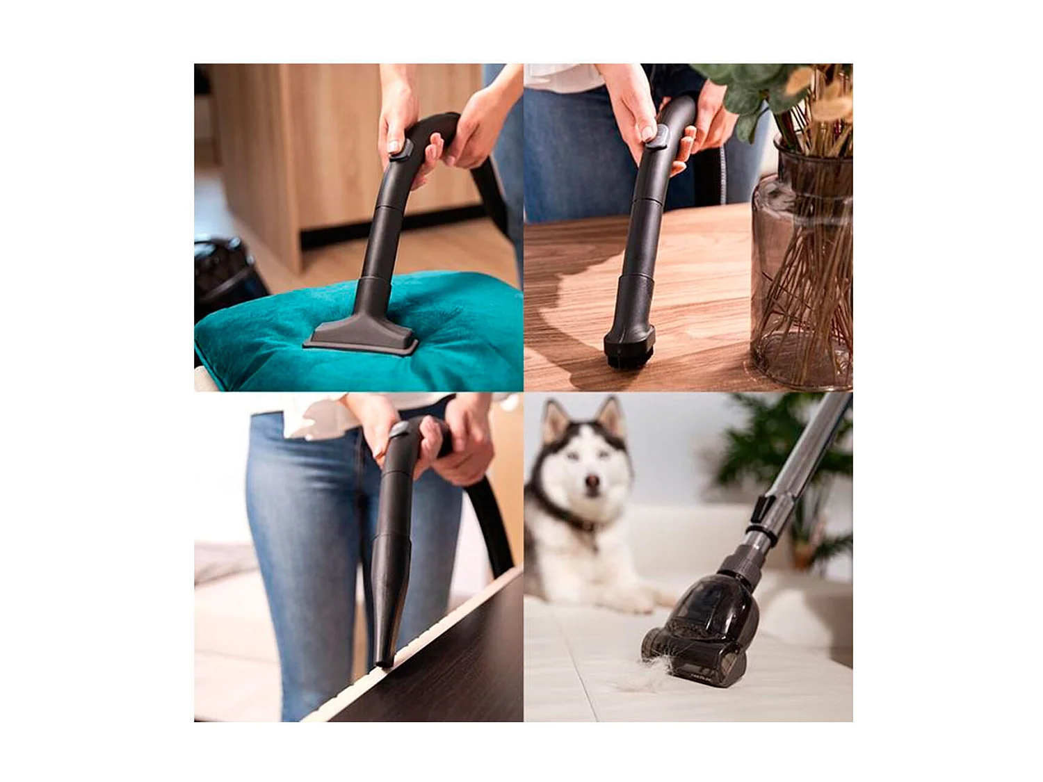 Aspirador sin bolsa Cecotec Conga Rockstar Multicyclonic XL Animal 800W 4L negro