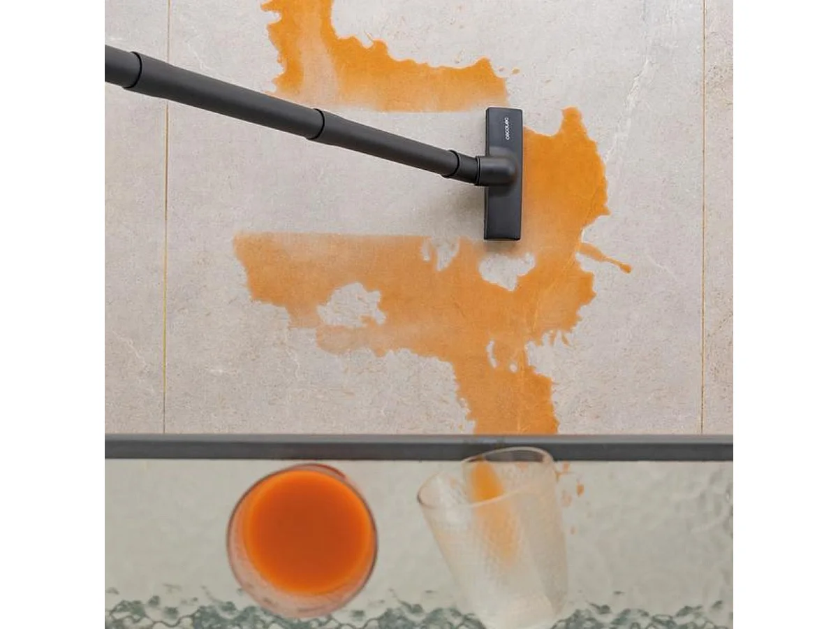 Aspirador de trineo Cecotec Conga Wet&Dry Compact Garden Plus 1200W 16L negro/azul