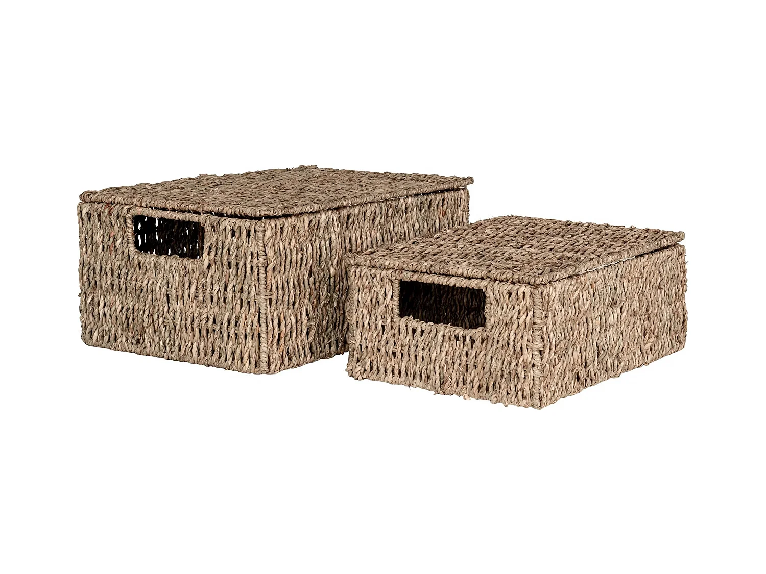Lot de 2 paniers de rangement avec couvercle VENOSO – Herbe marine naturelle