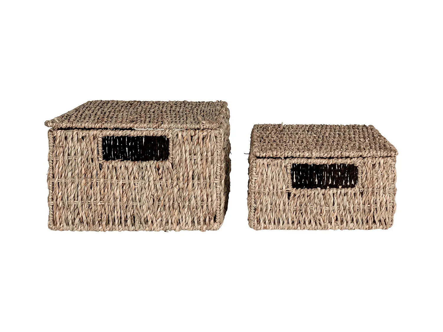 Lot de 2 paniers de rangement avec couvercle VENOSO – Herbe marine naturelle
