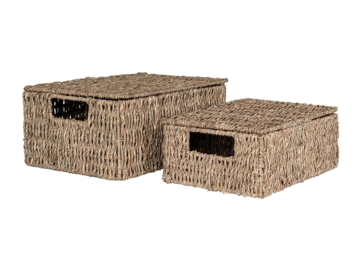 Lot de 2 paniers de rangement avec couvercle VENOSO – Herbe marine naturelle