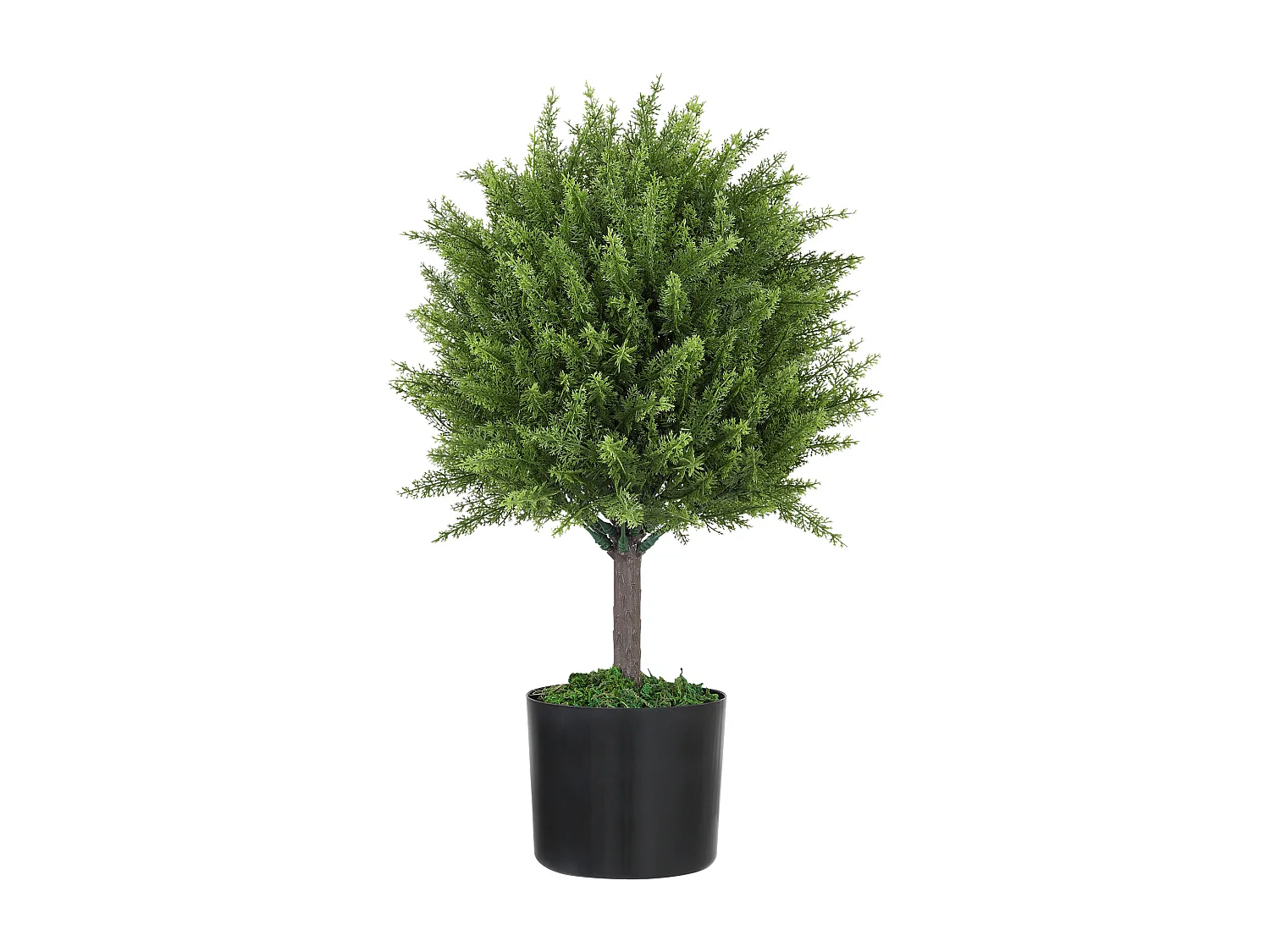 Pianta finta alberello di cedro con vaso incluso alta 55 cm