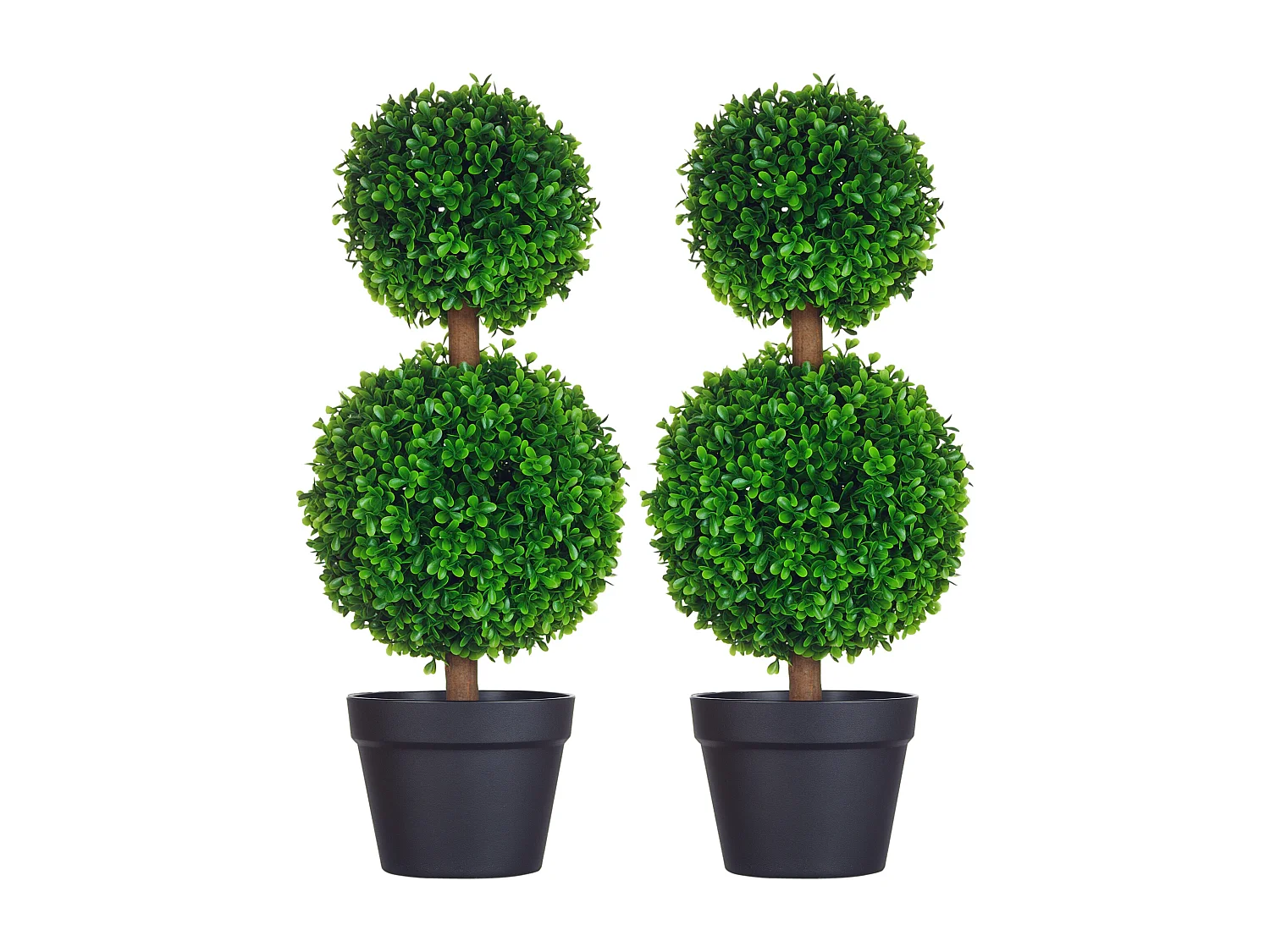 Set da 2 piante di bosso a 2 sfere con vaso incluso 60 cm