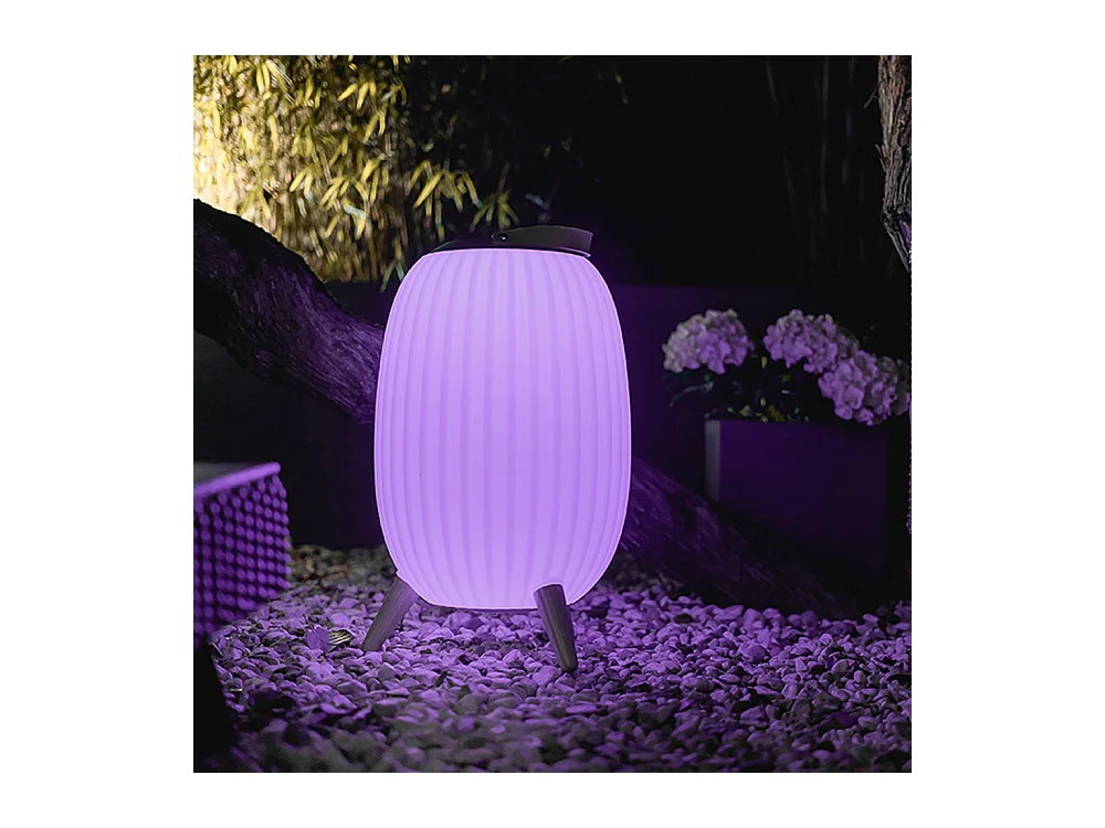 Lanterne nomade musicale EZIlight® Ambiant XL - Pack de 2 lampes
