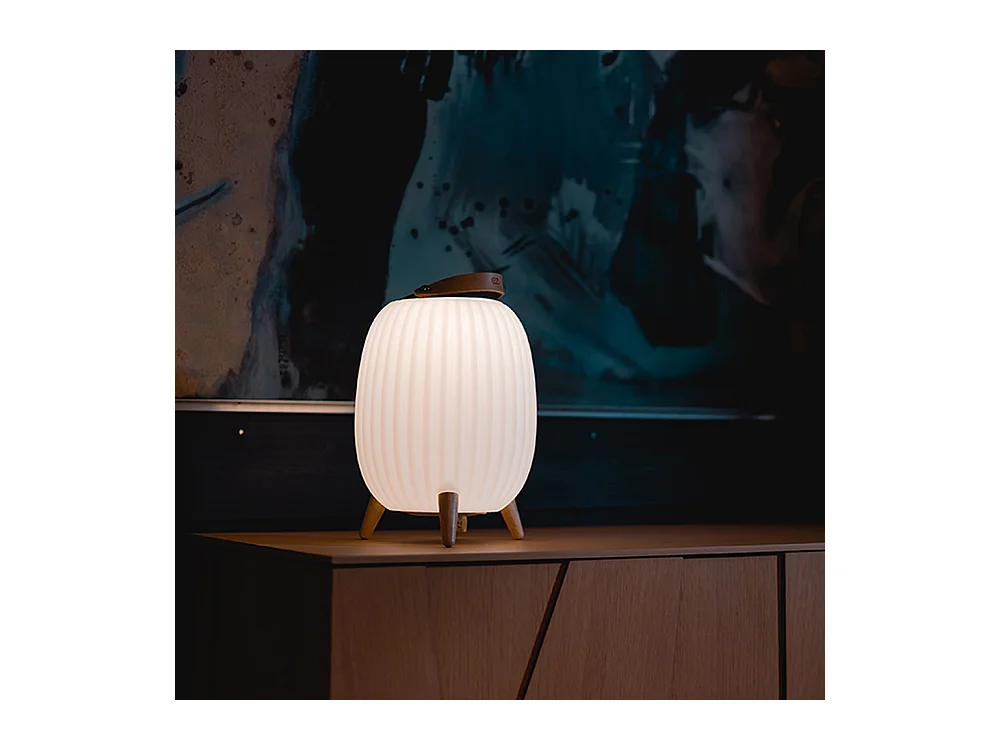 Lanterne nomade musicale EZIlight® Ambiant M - Pack de 2 lampes