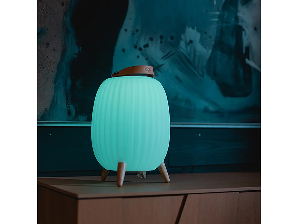 Lanterne nomade musicale EZIlight® Ambiant M - Pack de 2 lampes