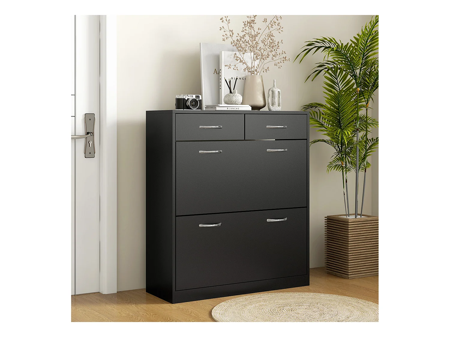 Scarpiera moderna con 2 ripiani regolabili e 2 cassetti in legno nero