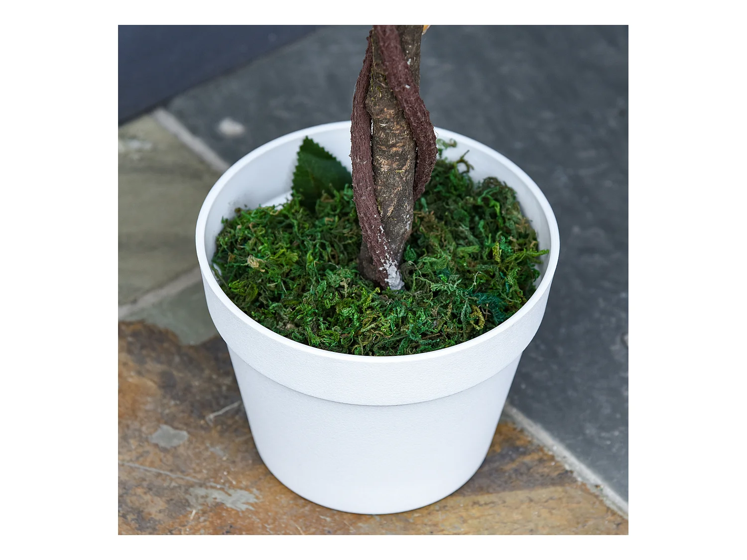 Plantes artificielles Roses, plastique, vert, avec pot en ciment (18x18x90 cm)