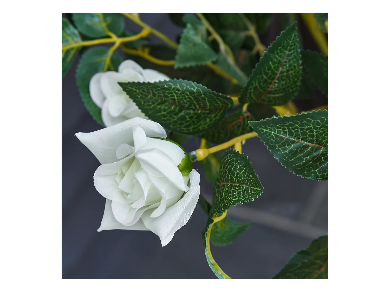 Plantes artificielles Roses, plastique, vert, avec pot en ciment (18x18x90 cm)