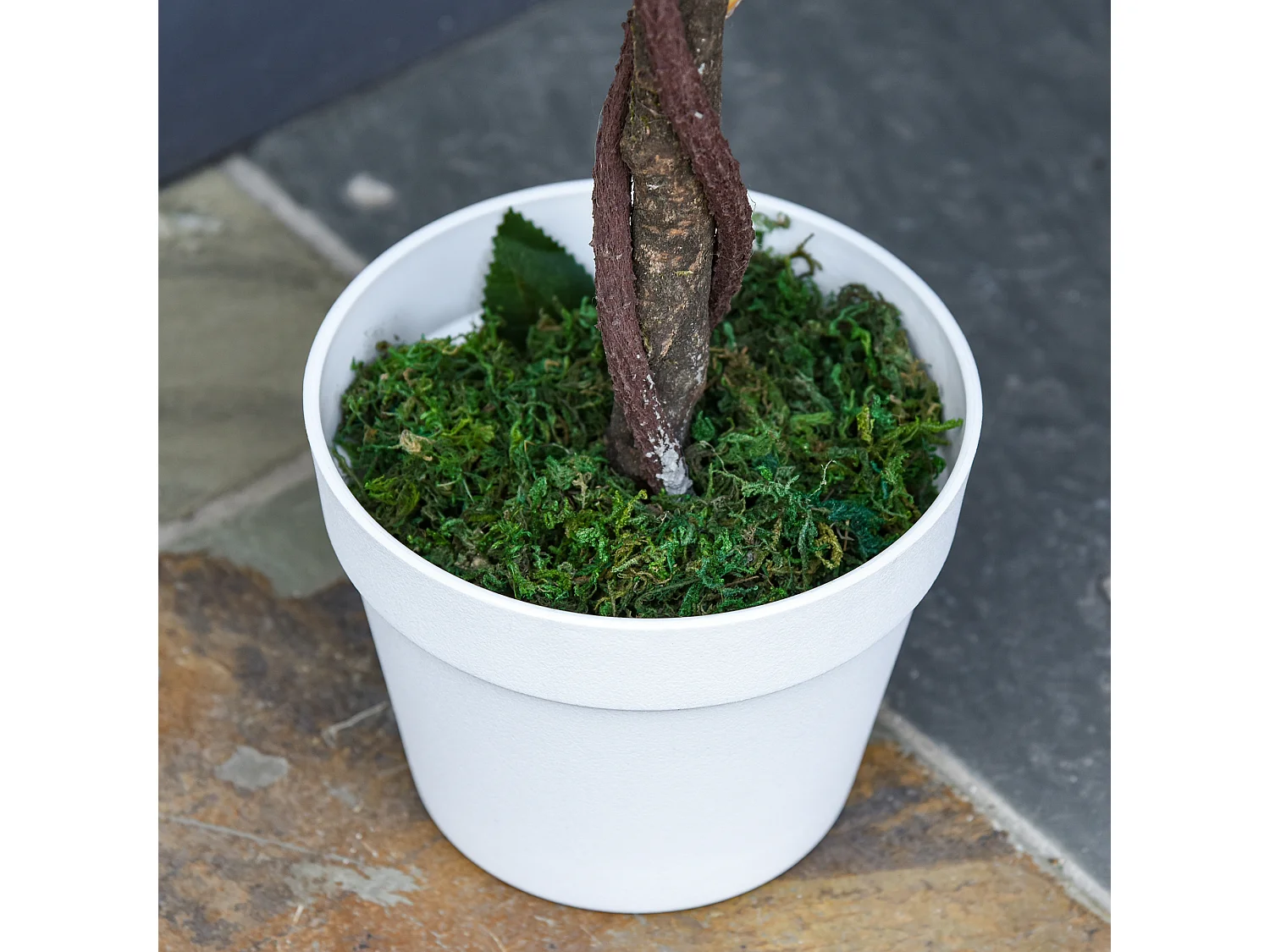 Plantes artificielles Roses, plastique, vert, avec pot en ciment (18x18x90 cm)