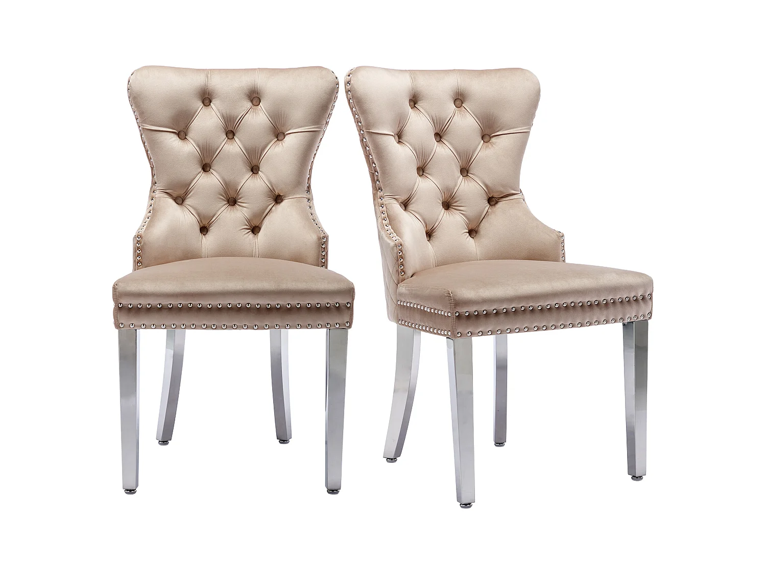 Chaise de salle à manger (6 pièces), fauteuil lounge avec accoudoirs, velours, clous décoratifs, pieds en métal, Beige (53x62.5x94.5 cm)