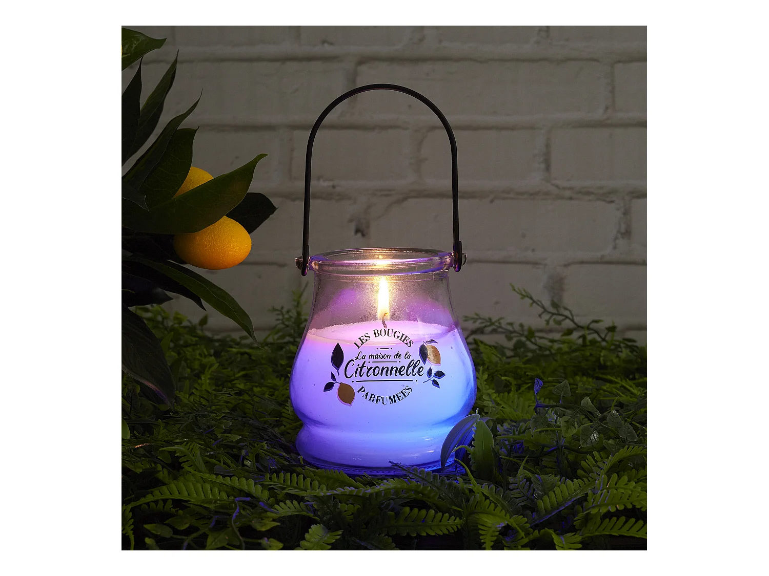 Bougie Citronnelle Couleur Changeante Jaune, Vert, Blanc