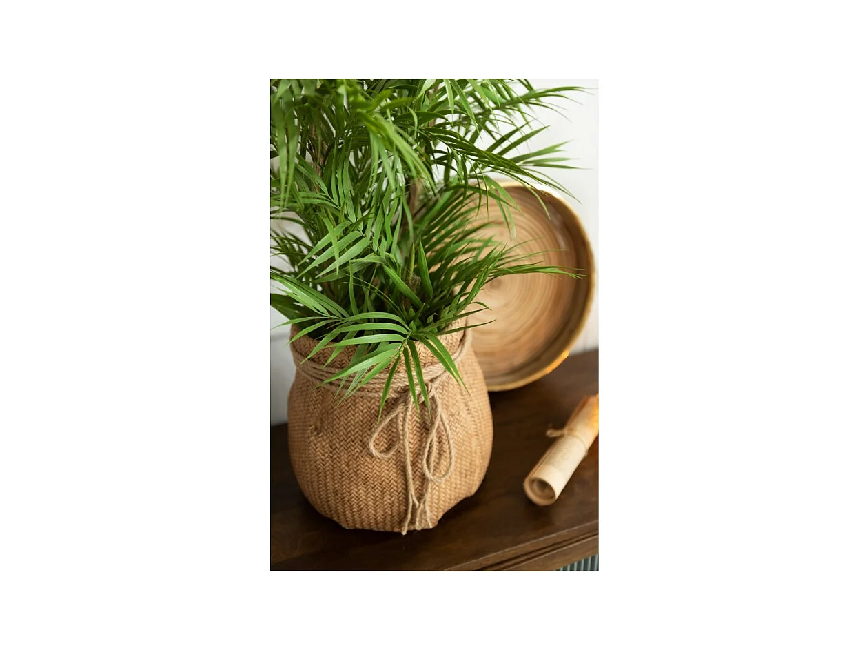 Palmera en maceta plástico verde/negro Alt. 84 cm