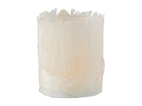 Photophore en verre - Plumes crème 8x8x10 cm