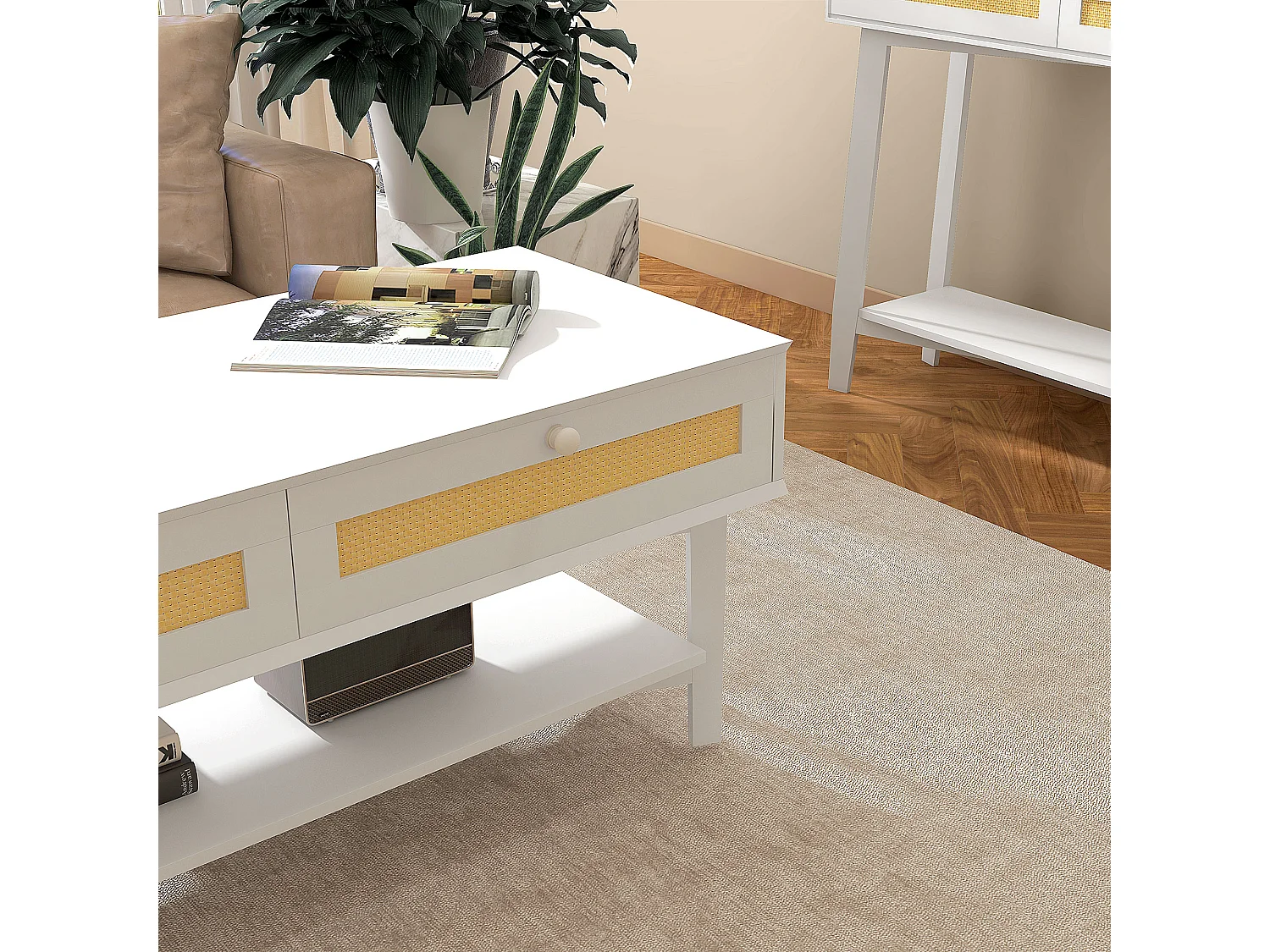 Tavolino da caffè con 2 cassetti e ripiano in rattan e truciolato