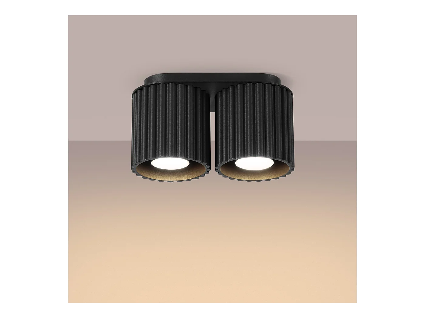 Plafonnier Aura Minimaliste En Aluminium - 2 Sources Lumineuses - L.21 X H.12 Cm - Noir