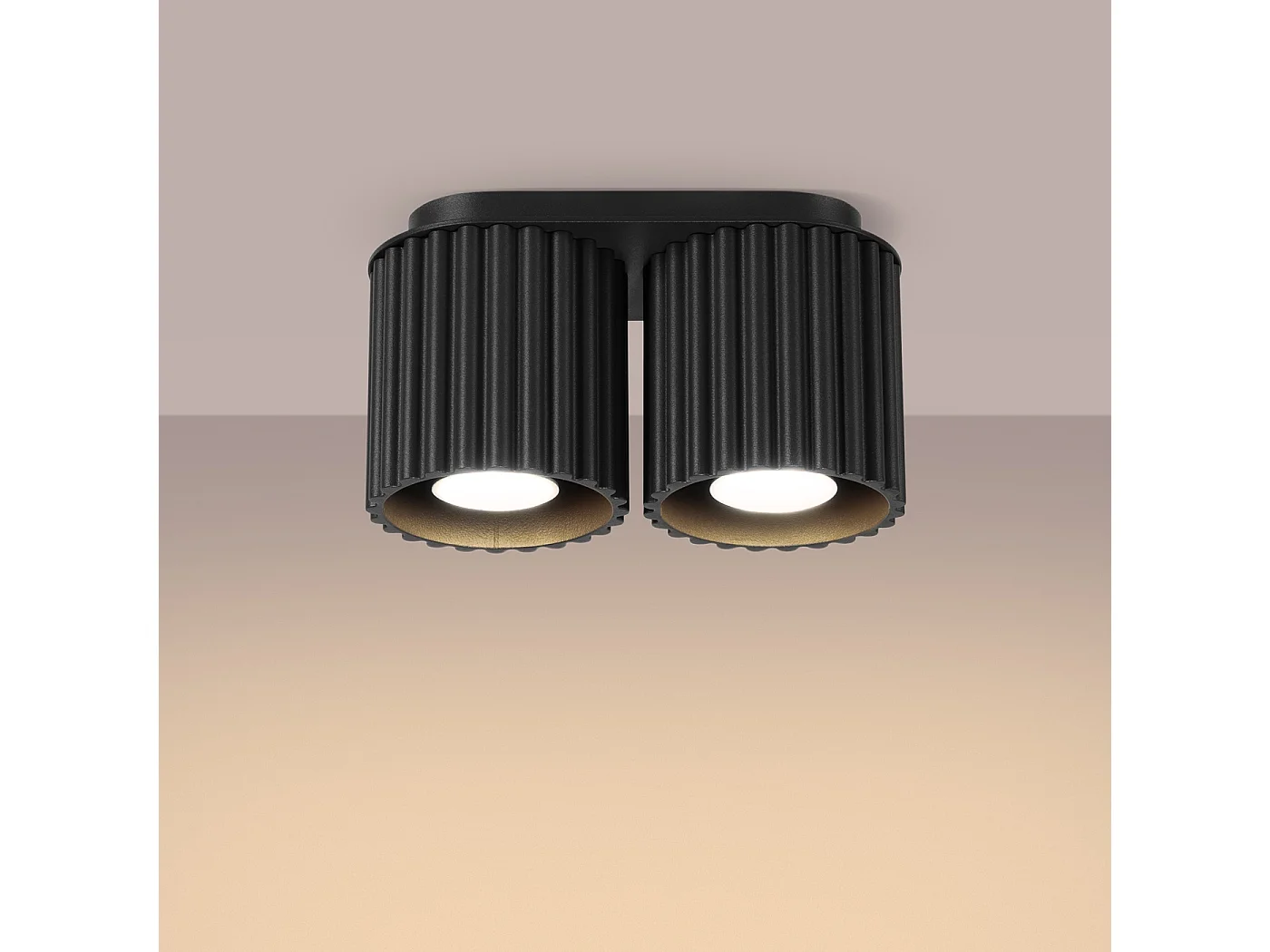 Plafonnier Aura Minimaliste En Aluminium - 2 Sources Lumineuses - L.21 X H.12 Cm - Noir