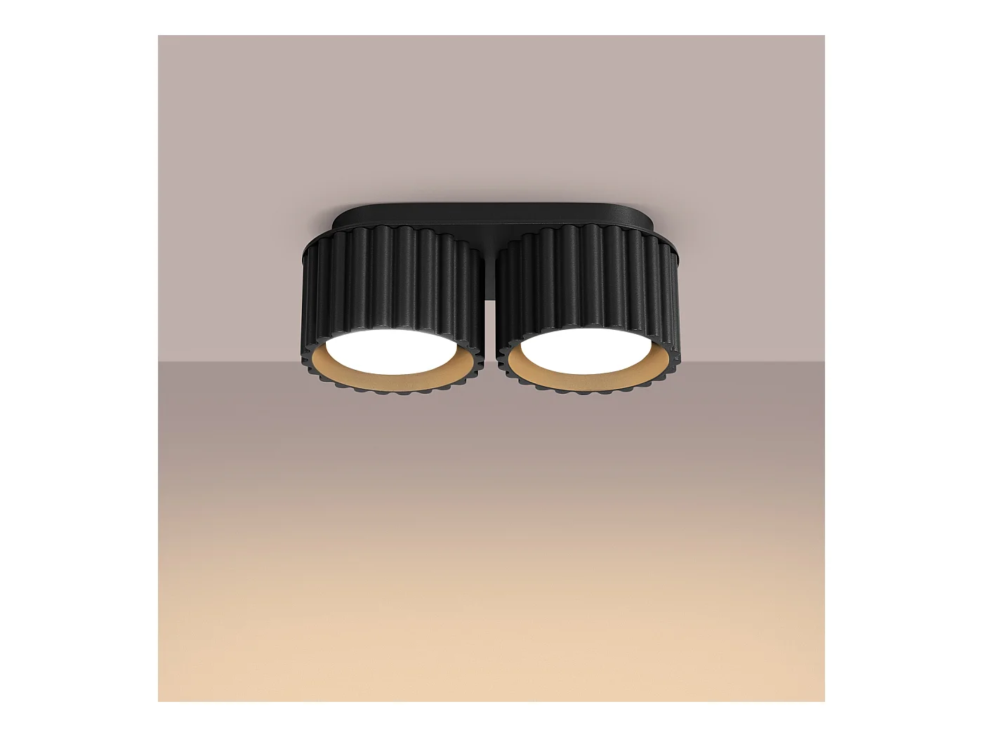 Plafonnier Aura Minimaliste En Aluminium - 2 Sources Lumineuses - L.21 X H.12 Cm - Noir