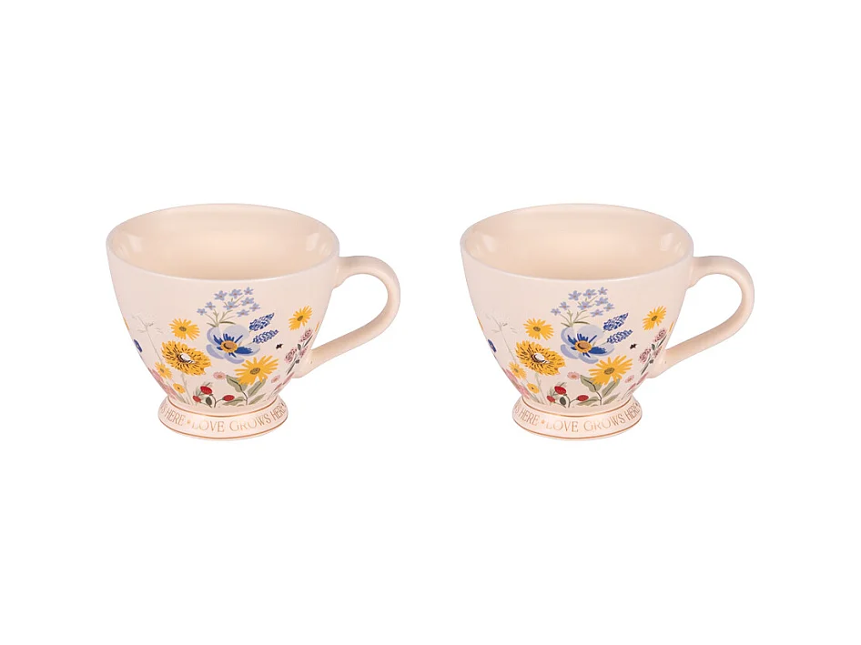 Coffret de 2 déjeuner Céleste 39 cl