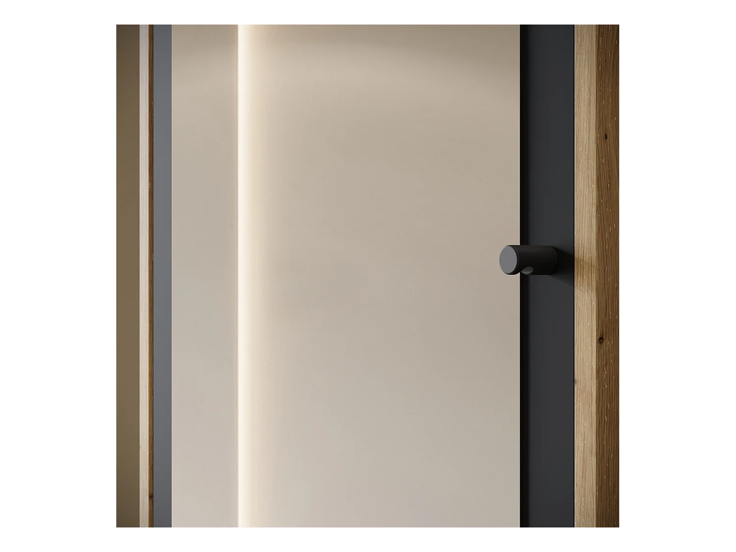 Armoire moderne 90 cm armoire dentrée avec miroir étagères et tringle mat artisan graphite noir